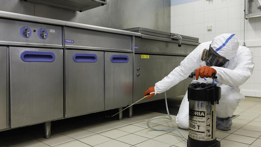 desinsectación de una cocina de restaurante