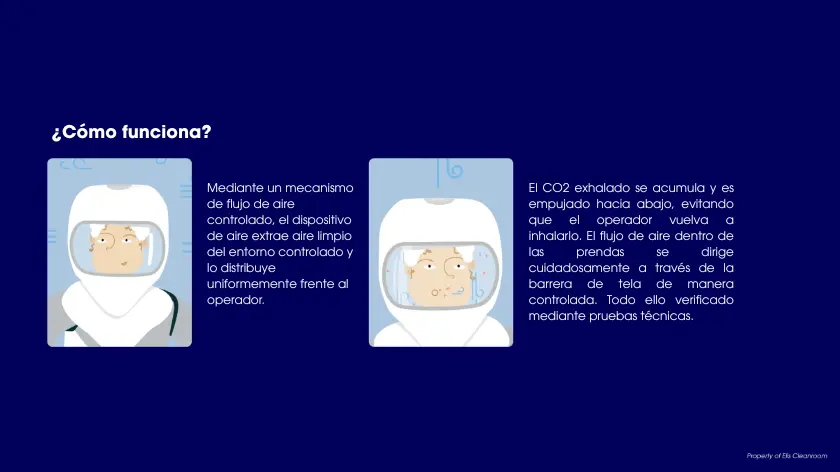 productos para salar blancas