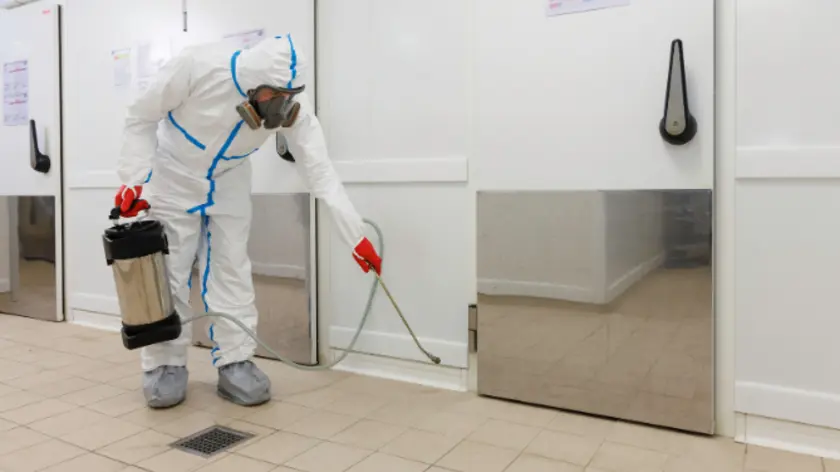 aplicación de pesticidas para prevenir plagas