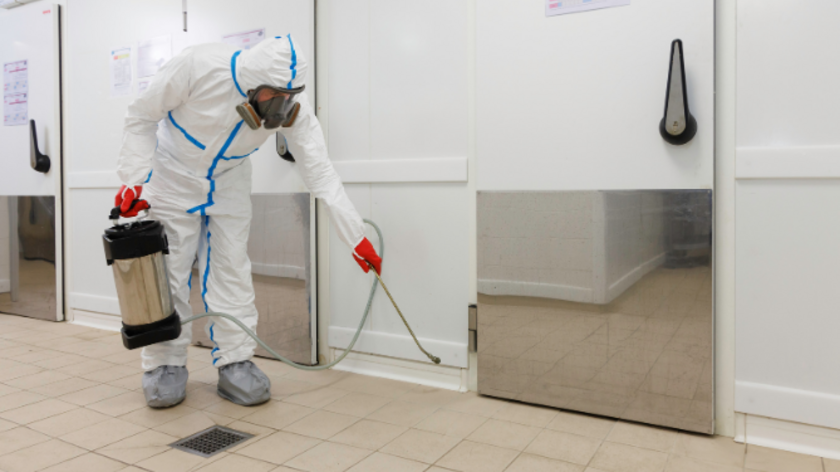 aplicación de pesticidas para prevenir plagas