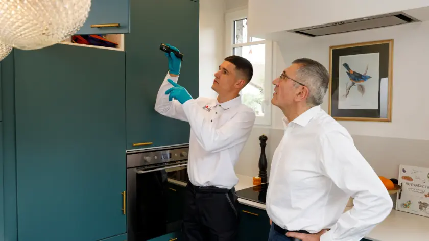 revisión de polillas en casa