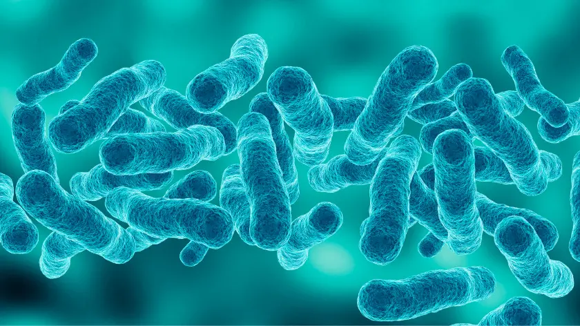 control de legionella
