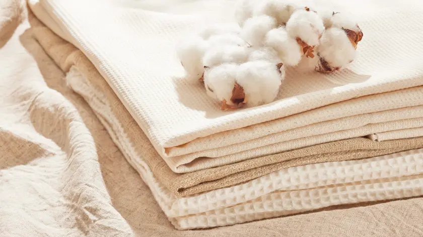 ranting textil