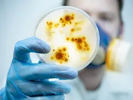 viruses-bacterias