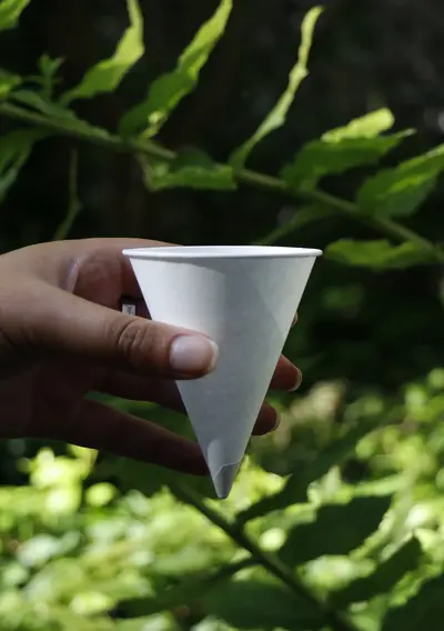 Vasos para fuentes de agua